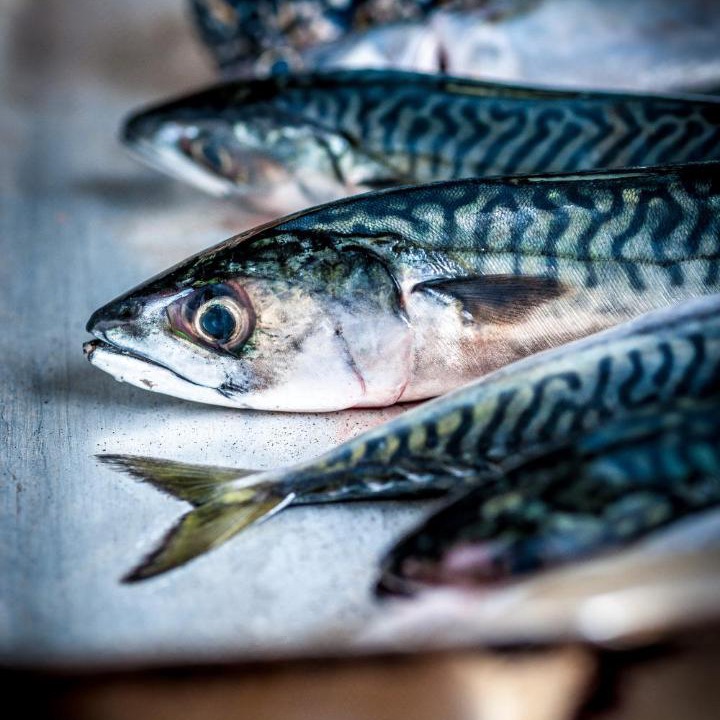 Photo of Others in Port Gaverne