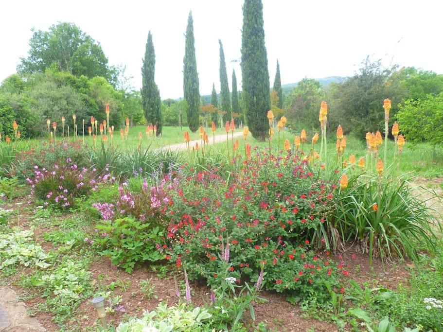 Photo of Outdoor in Le Puech