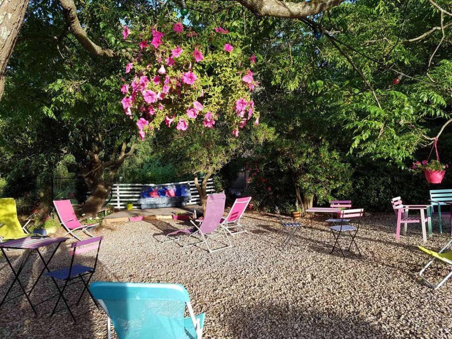 Photo of Others in Le Puech