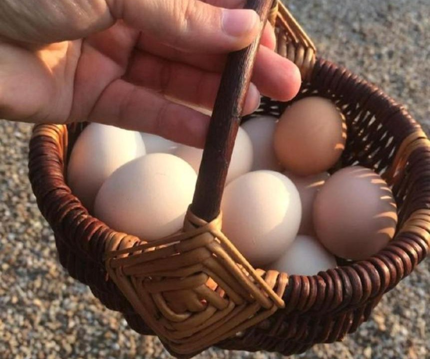 Photo of Others in Boulleret