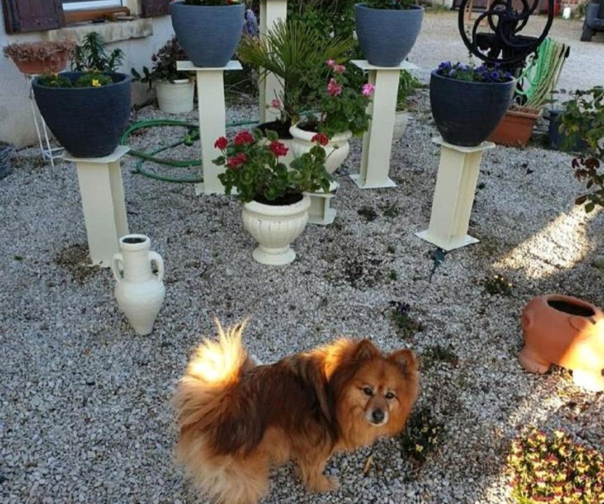 Photo of Others in Boulleret