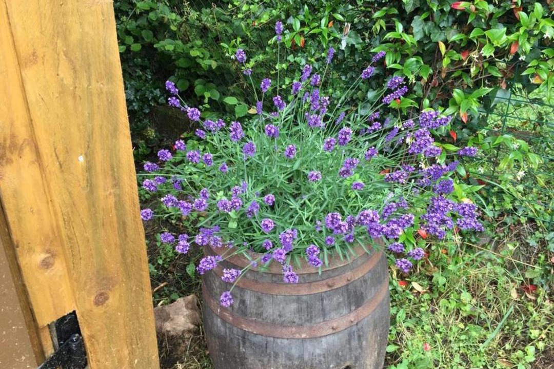 Photo of Outdoor in Chantenay-Saint-Imbert