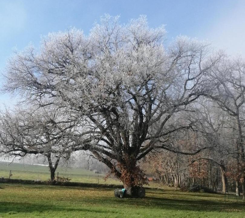 Photo of Outdoor in Le Burgaud