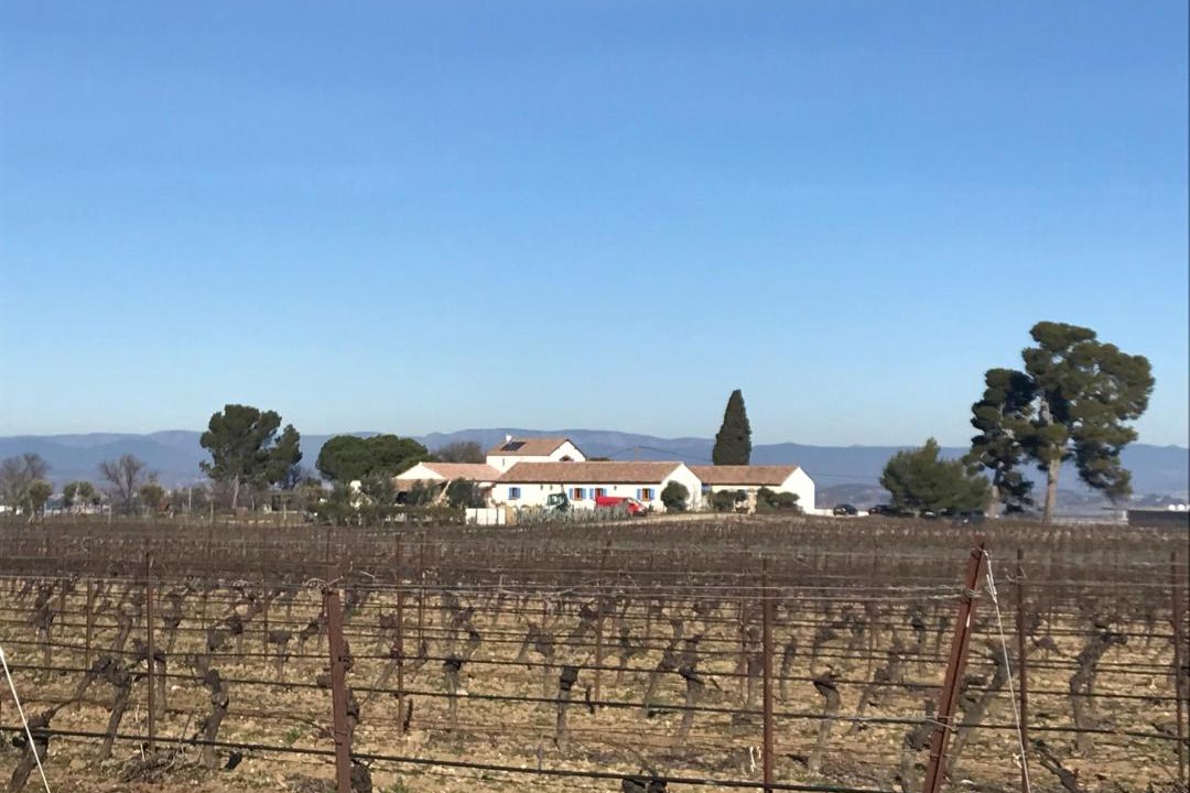 Photo of Others in Colombiers