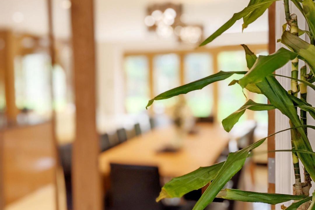 Photo of Others in Angmering