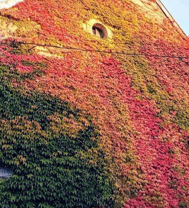 Photo of Outdoor in Ay