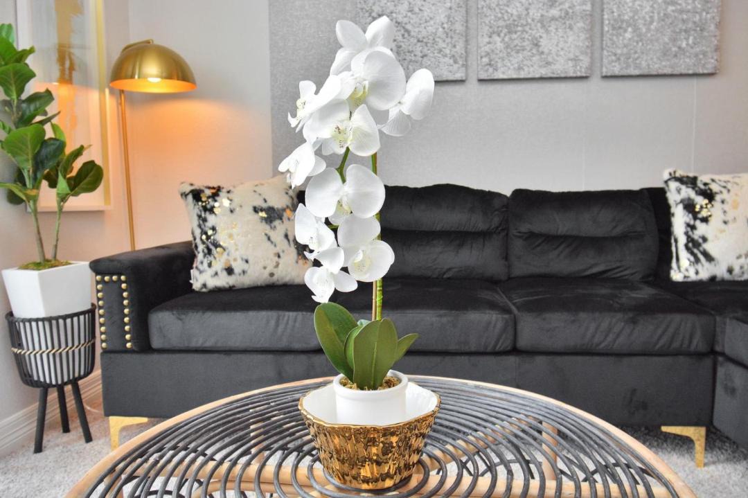 Photo of Livingroom in South Central Houston