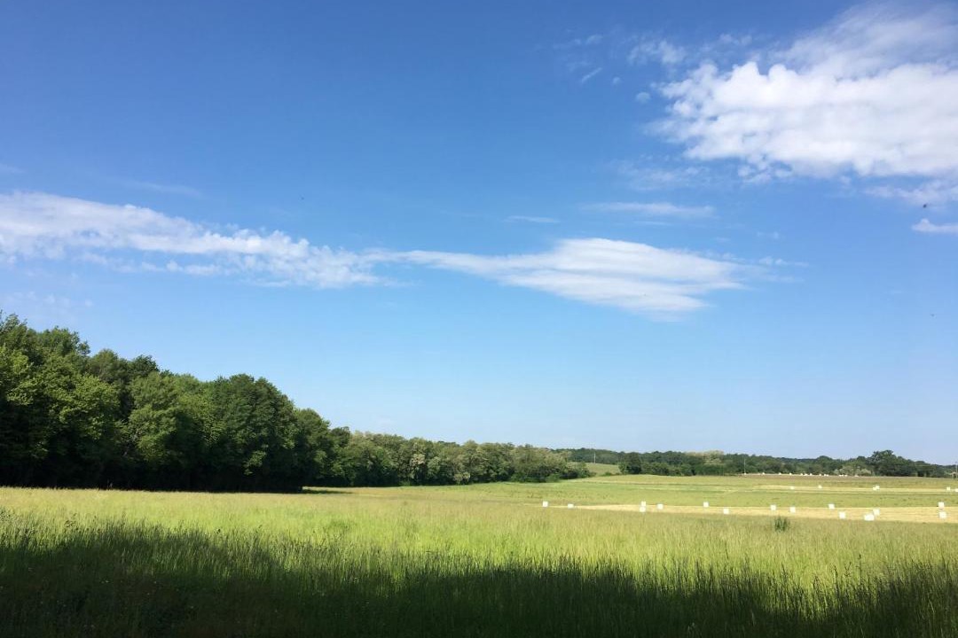 Photo of Others in Le Vieux-Cerier