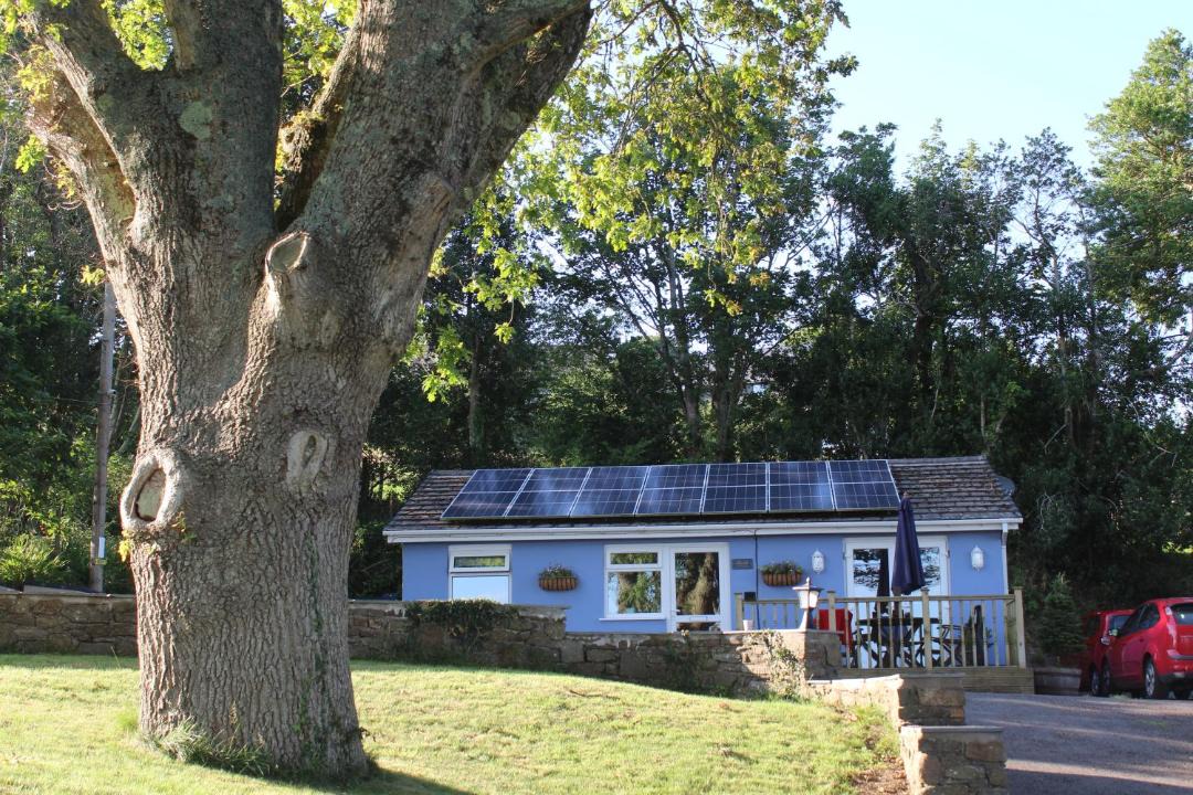 Photo of Others in Llanelli