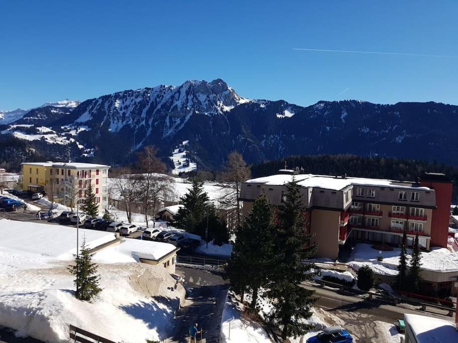 Photo of Others in Leysin