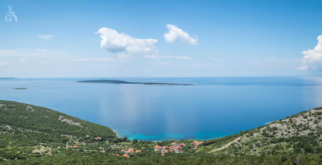 Photo of Others in Miholascica