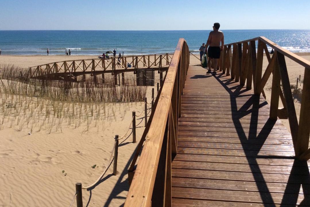Photo of Others in Torrevieja