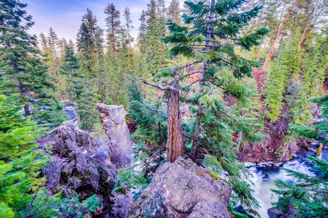 Photo of Others in Broken Top