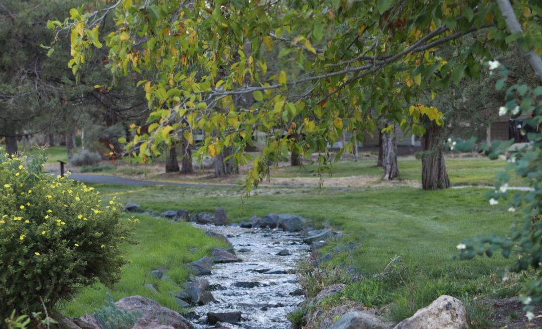 Photo of Others in Redmond