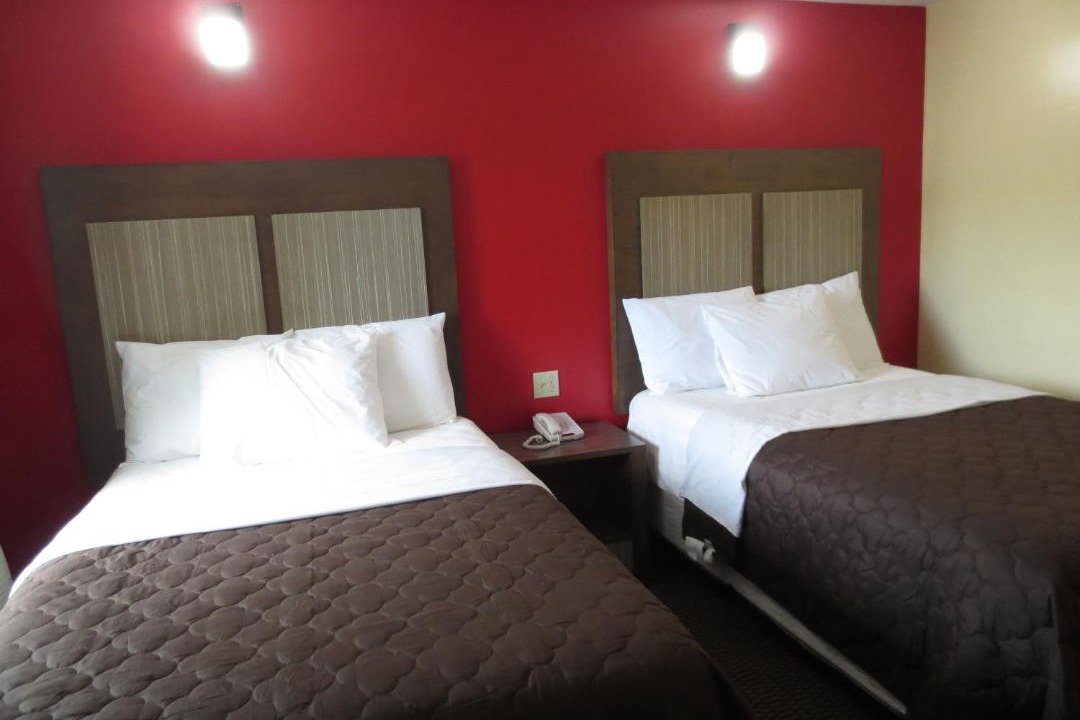 Photo of Others in Brick