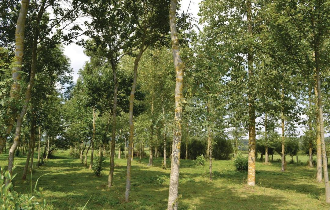 Photo of Others in Lottinghen