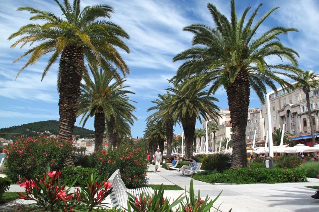 Photo of Others in Split