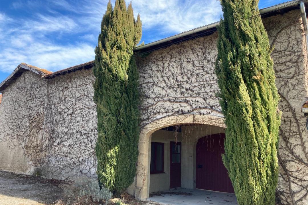 Photo of Others in Chanas