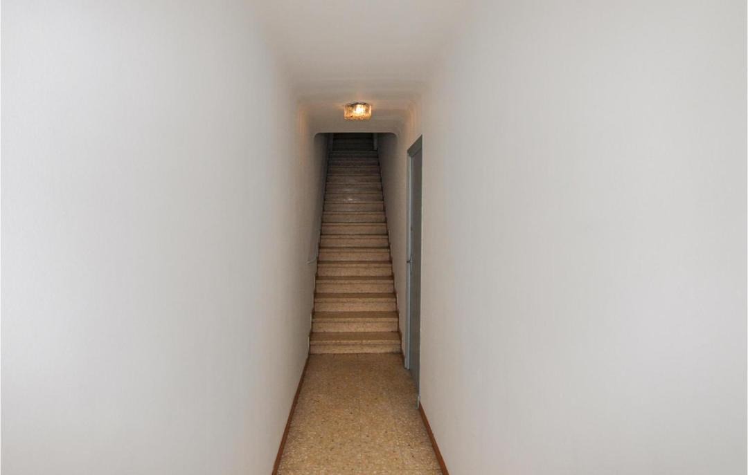 Photo of Others in Vinca