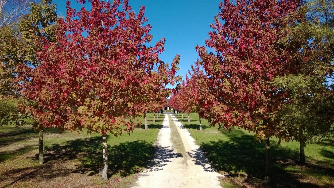 Photo of Others in Tamahere