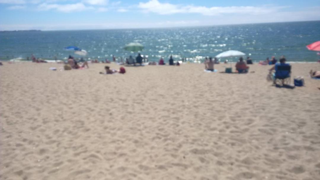 Photo of Others in La Turballe