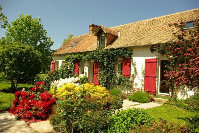 Photo of Others in Trange