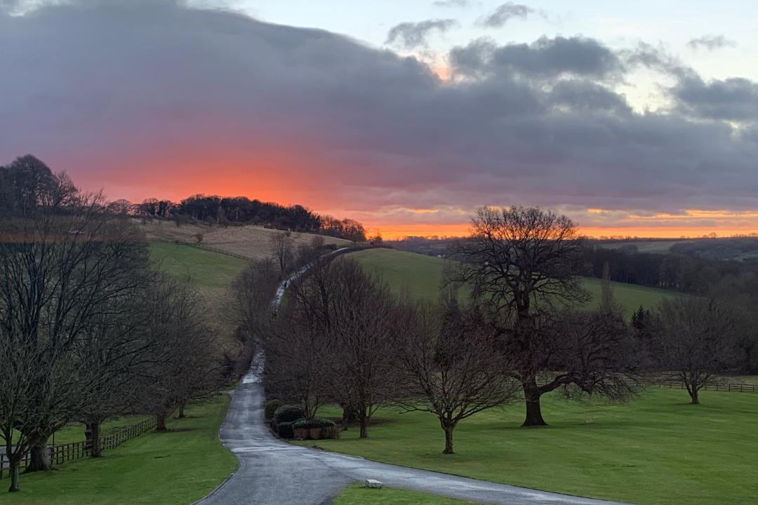 Photo of Others in Wetherby