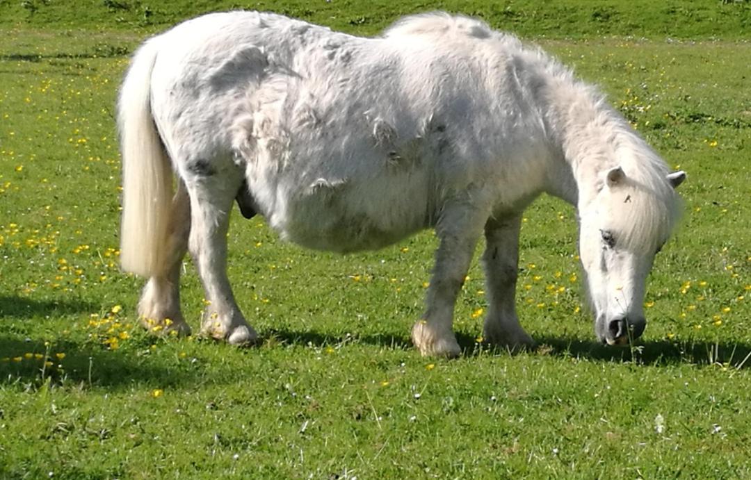 Photo of Others in Stuppington