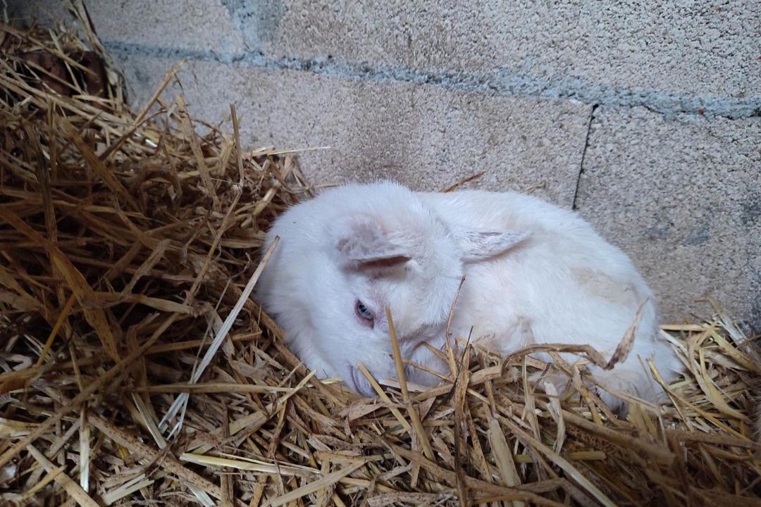 Photo of Others in Monclar-de-Quercy