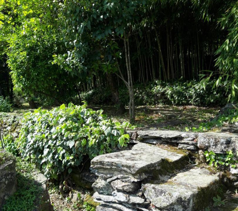 Photo of Others in Gravieres