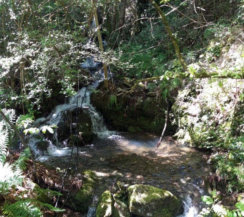 Photo of Others in Gravieres