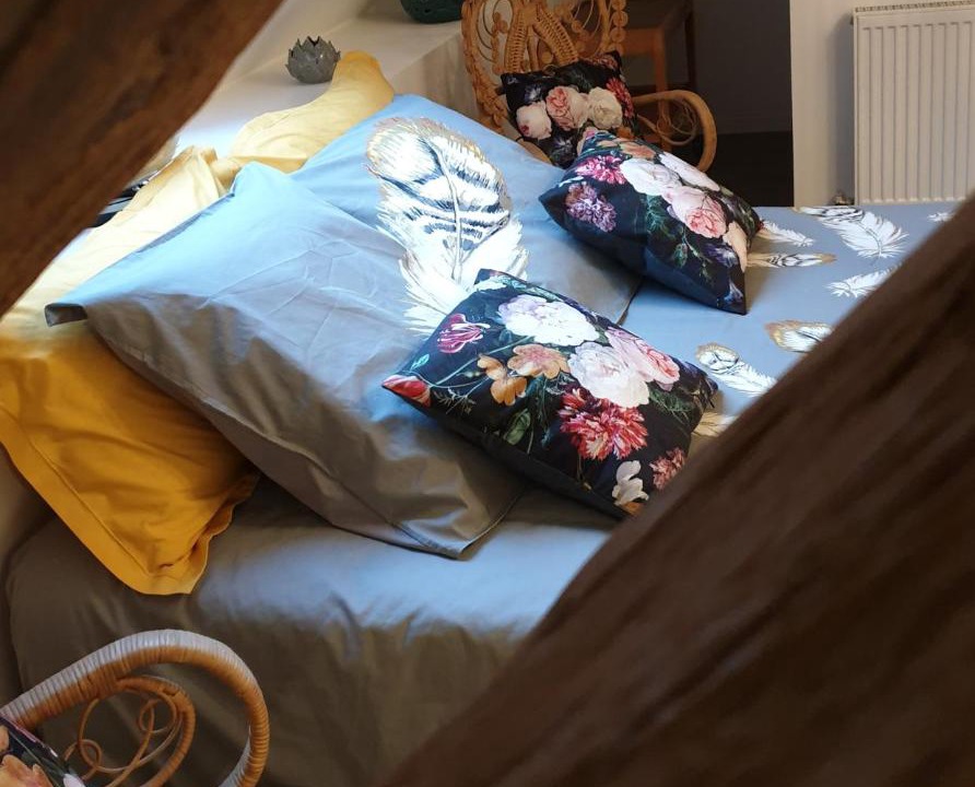 Photo of Others in Nevy-sur-Seille