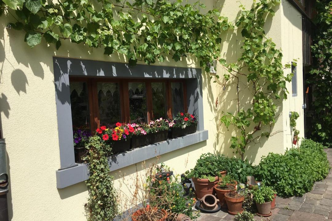 Photo of Others in Andelfingen District