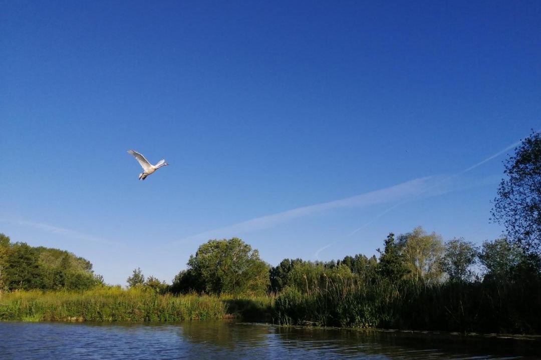 Photo of Others in Nieurlet