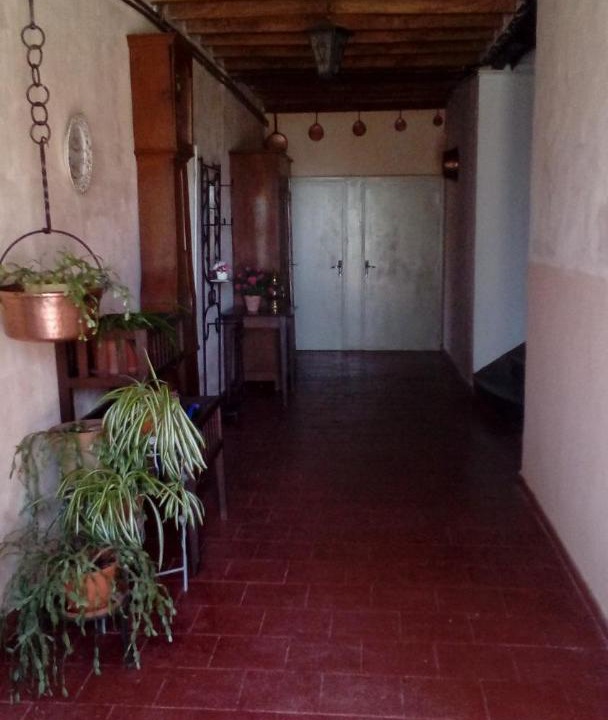 Photo of Others in Panjas