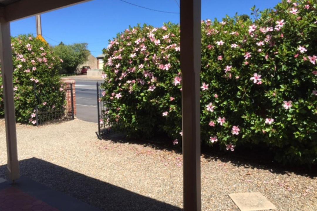 Photo of Others in Goolwa