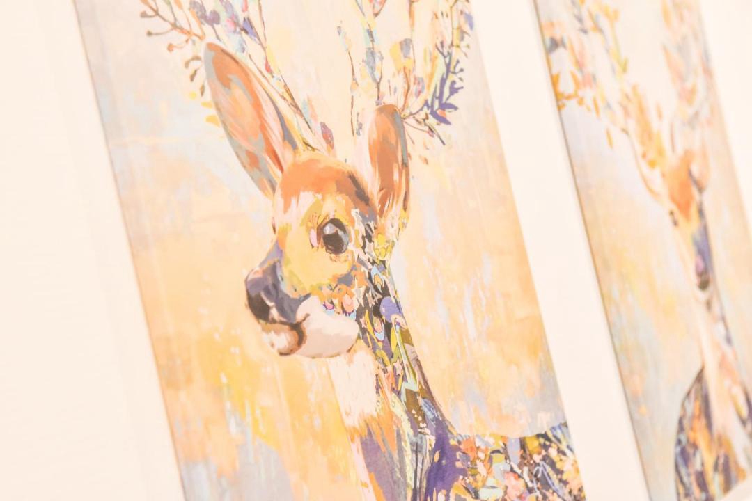 Photo of Others in Phalsbourg