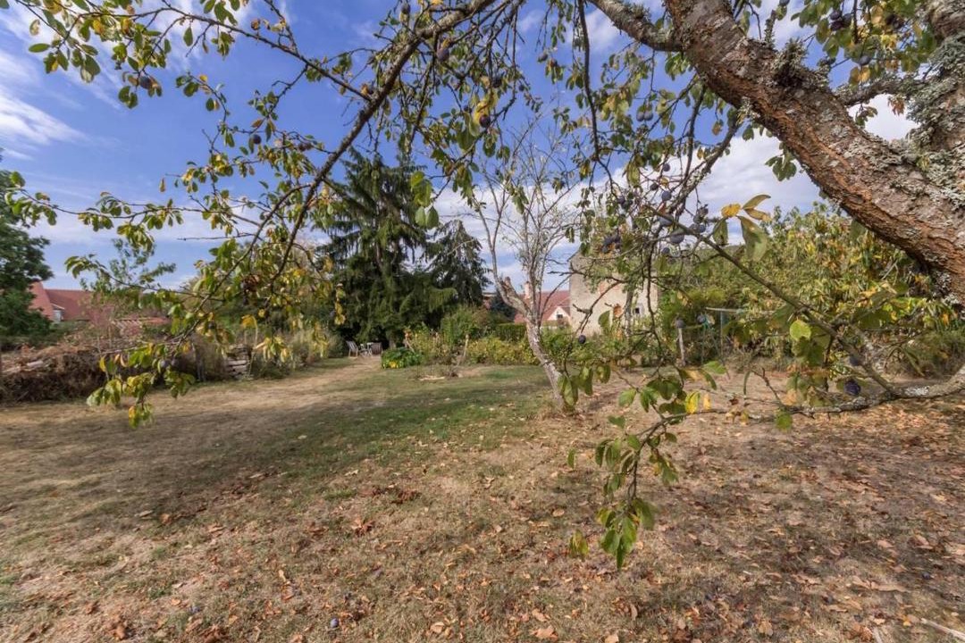 Photo of Others in Champlin