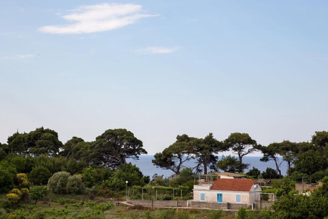 Photo of Others in Kolocep Island