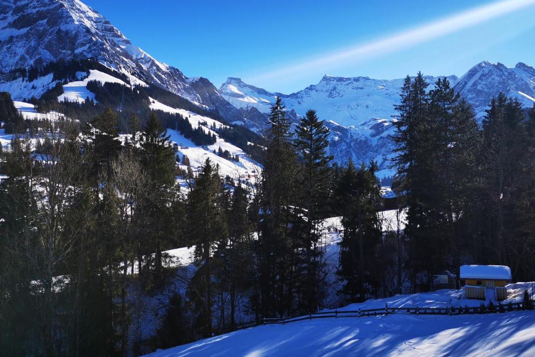 Photo of Others in Adelboden