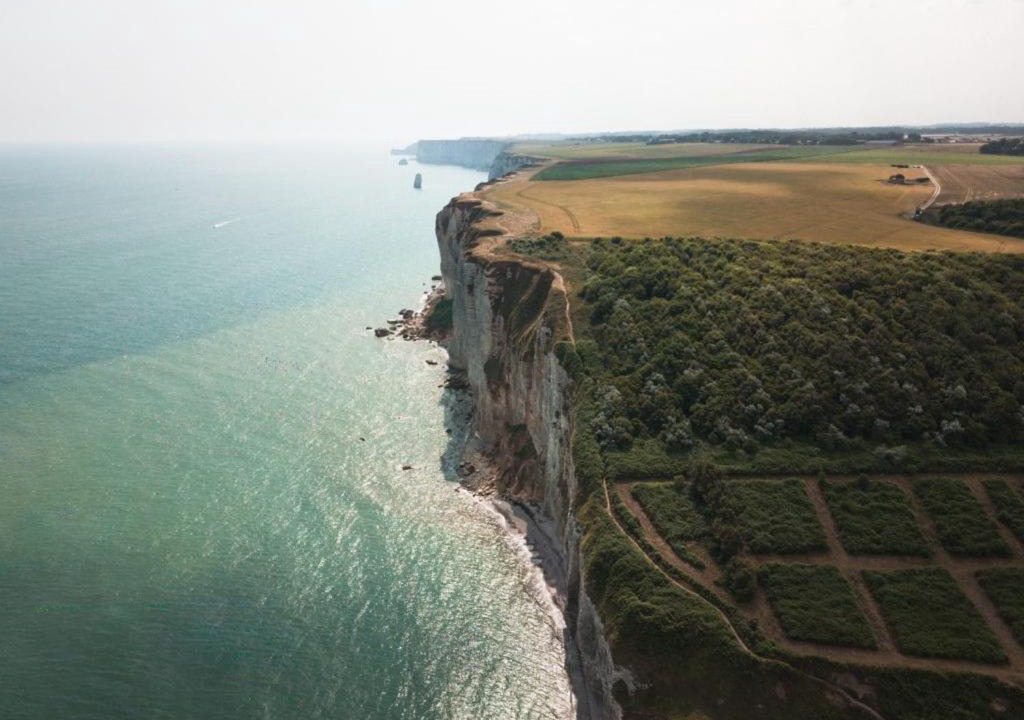 Photo of Others in Sotteville-sur-Mer