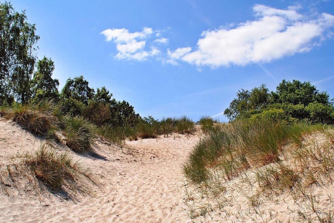 Photo of Outdoor in Hvidbjerg Strand