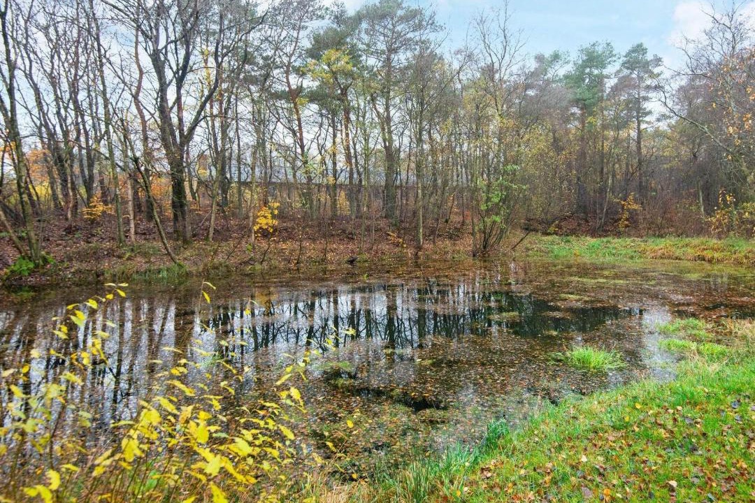 Photo of Outdoor in Skarrild