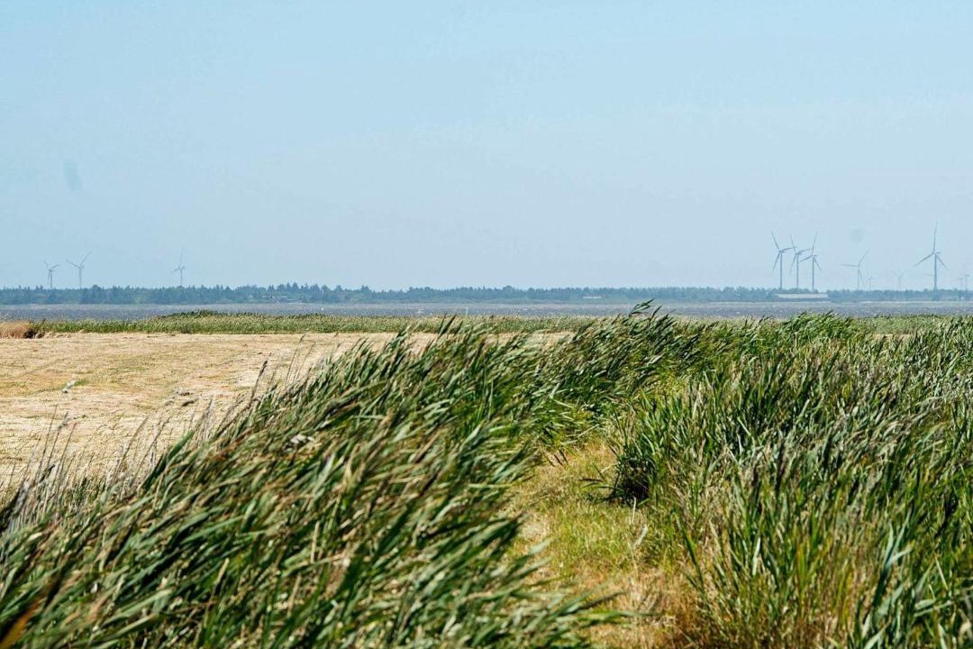 Photo of Others in Thorsminde