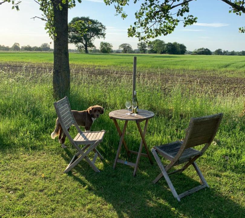 Photo of Others in Banham