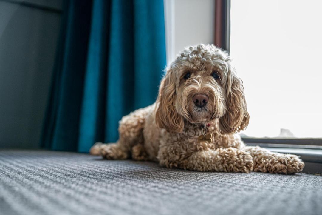 Photo of Others in Barnsdale