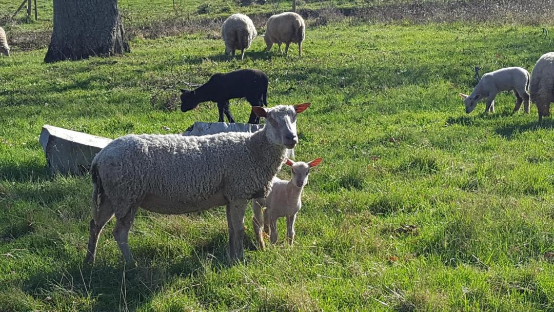 Photo of Others in Denee