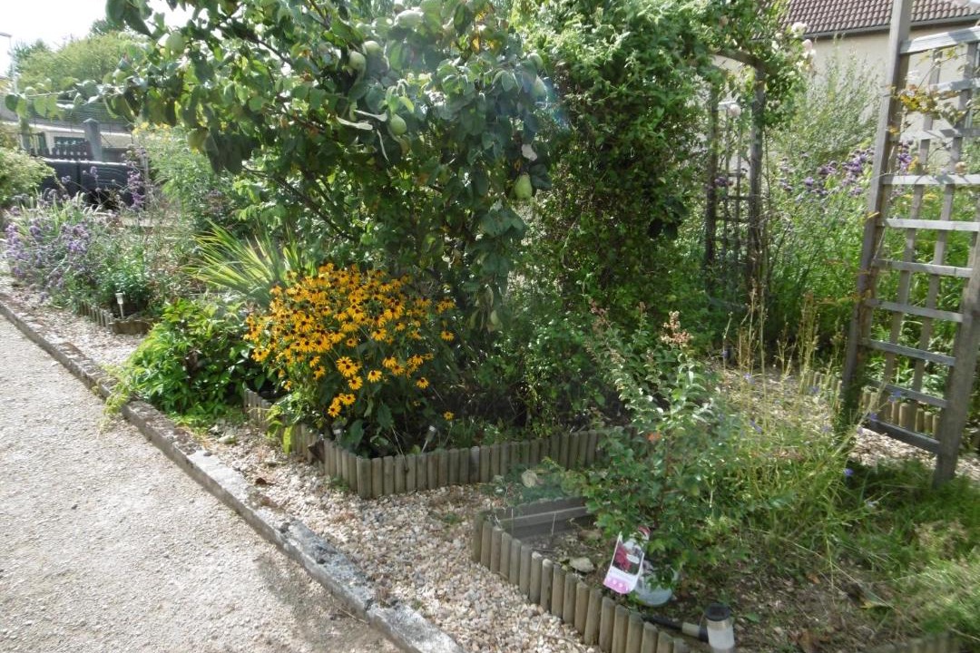 Photo of Others in Chateauneuf-la-Foret