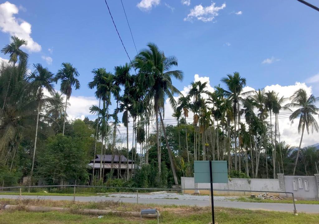 Photo of Others in Larut