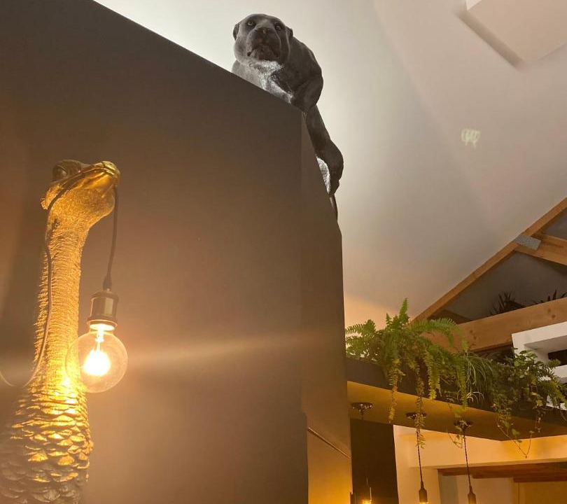 Photo of Others in Calais City Center